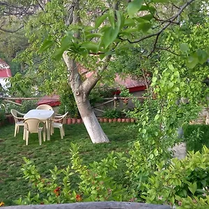  Holiday home Roleo